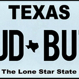 COVID69,&nbsp;MUD BUTT and NOPENIS are among the vanity plates Texas has rejected this year | The Daily