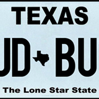 COVID69,&nbsp;MUD BUTT and NOPENIS are among the vanity plates Texas has rejected this year | The Daily