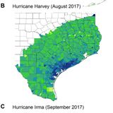 Political storms: Emergent partisan skepticism of hurricane risks