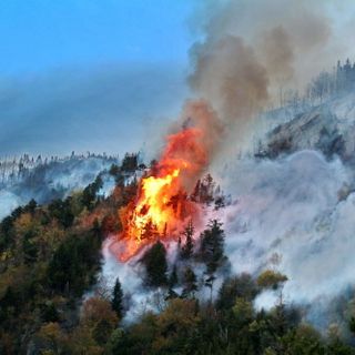 ‘It Can Happen Here’: N.H. Faces High Wildfire Risk Amid Climate Catastrophe In West