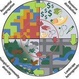 The ecological and evolutionary consequences of systemic racism in urban environments