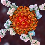 Coronavirus: Monoclonal antibodies to begin UK trial