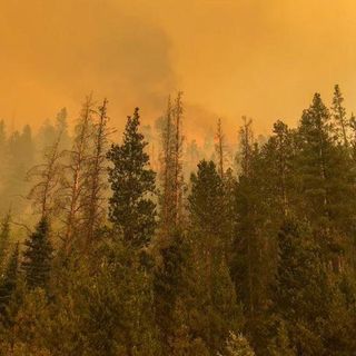 A Colorado dashboard seeks to put a price on future wildfires, other natural disasters amid a warming climate