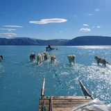 Arctic summer sea ice second lowest on record: US researchers