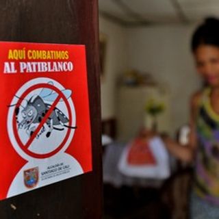 Dengue fever crisis grips Latin America