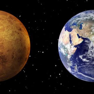 How Much Life Would Be Required to Create the Phosphine Signal on Venus?