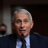 ‘I challenge that’: Fauci shuts down Rand Paul on herd immunity in NYC during Senate hearing