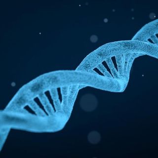 Scientists find toolkit to aid repair of damaged DNA