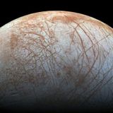 The Four Most Promising Worlds for Alien Life in the Solar System