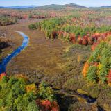 Colder weather, widespread frost are turning Maine’s leaves faster than normal