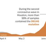 Massive genetic study shows coronavirus mutating and potentially evolving amid rapid U.S. spread