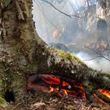 Killington forest fire burns underground for three days, and counting