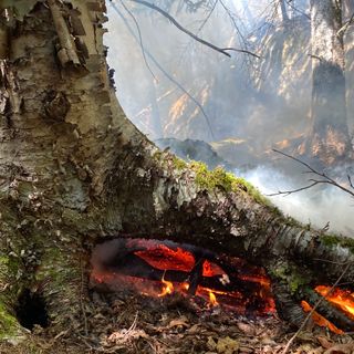 Killington forest fire burns underground for three days, and counting