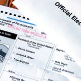 Feds, In Unusual Statement, Announce They're Investigating A Few Discarded Ballots