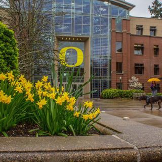 University of Oregon reports nearly 40 students with coronavirus