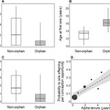 Postweaning maternal care increases male chimpanzee reproductive success