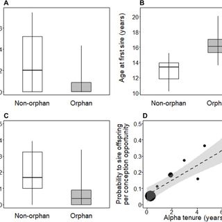 Postweaning maternal care increases male chimpanzee reproductive success