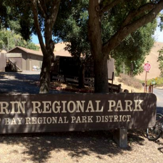 Illegal marijuana grow operation found in Hayward's Garin Regional Park