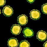 Why the Coronavirus Has Been So Successful