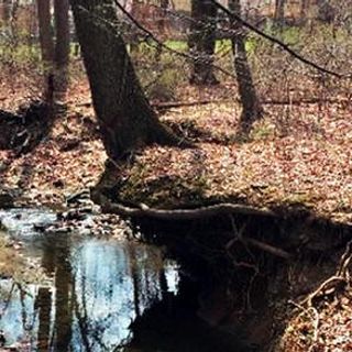 What To Expect As Maine's Drought Continues