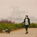 ‘Hidden cost’ of wildfire smoke: Stanford researchers estimate up to 3,000 indirect deaths