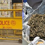 Delhi Police Seized 160 Kg Ganja, Reported 1 Kg & Sold The Remaining; Also Let Off The Peddler