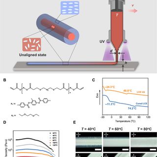 Three-dimensional printing of functionally graded liquid crystal elastomer