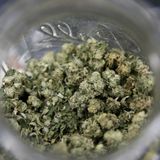 Legalization of recreational marijuana stricken from ballot