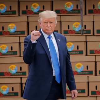 Trump requires food aid boxes to come with a letter from him