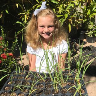 A 'prolific volunteer’ grew 900 native plants to help save coral reefs. She’s 10.