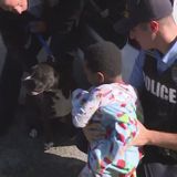 Missing toddler reunited with his father; stray dog seen ‘guarding’ the wandering child