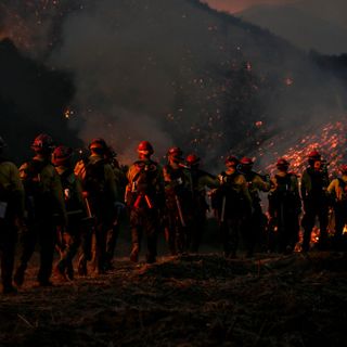 The West’s Infernos Are Melting Our Sense of How Fire Works