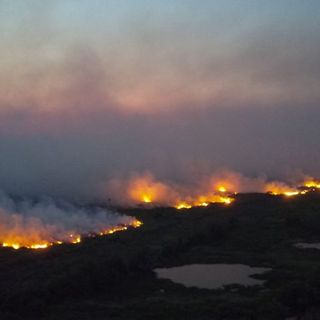 Fires raze nearly half of Indigenous territories in Brazil’s Pantanal