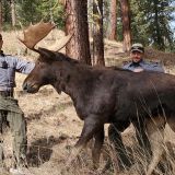 Idaho Fish and Game uses decoys to crack down on illegal hunting