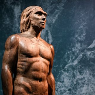 Neanderthals ate food thought to be crucial to human intelligence — study