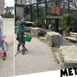 Zookeepers self-isolate in animal park to keep them fed