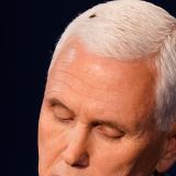 The fly in the room: Bug lands on Mike Pence's head during debate