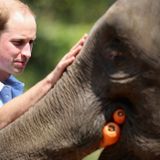 Prince William launches Nobel-like prize for the environment