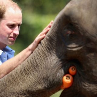 Prince William launches Nobel-like prize for the environment