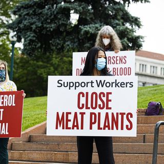 How chicken plants became more dangerous places to work than coal mines