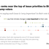 How important is climate change to voters in the 2020 election?