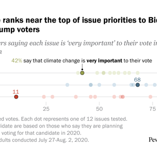 How important is climate change to voters in the 2020 election?