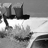 Thief grabs mail, ballots from North County neighborhood