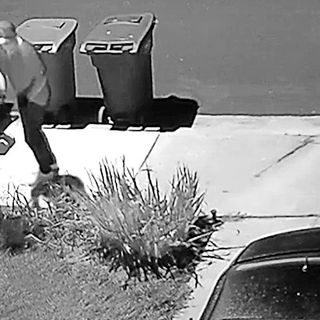 Thief grabs mail, ballots from North County neighborhood