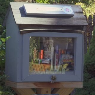 Community fills Warwick woman's Little Library after everything was taken from it