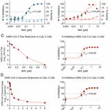 An orally bioavailable broad-spectrum antiviral inhibits SARS-CoV-2 in human airway epithelial cell cultures and multiple coronaviruses in mice