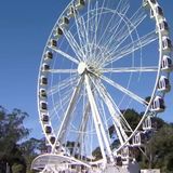 Observation Wheel in Golden Gate Park to Open Oct. 21 After Pandemic Delays