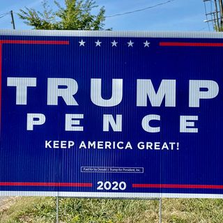 Georgetown Co. Elections chair accused of tampering with Trump campaign signage