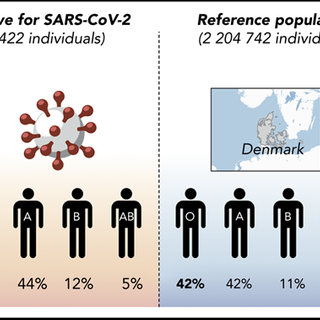 Reduced prevalence of SARS-CoV-2 infection in ABO blood group O