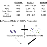 Cervicovaginal microbiome and natural history of HPV in a longitudinal study